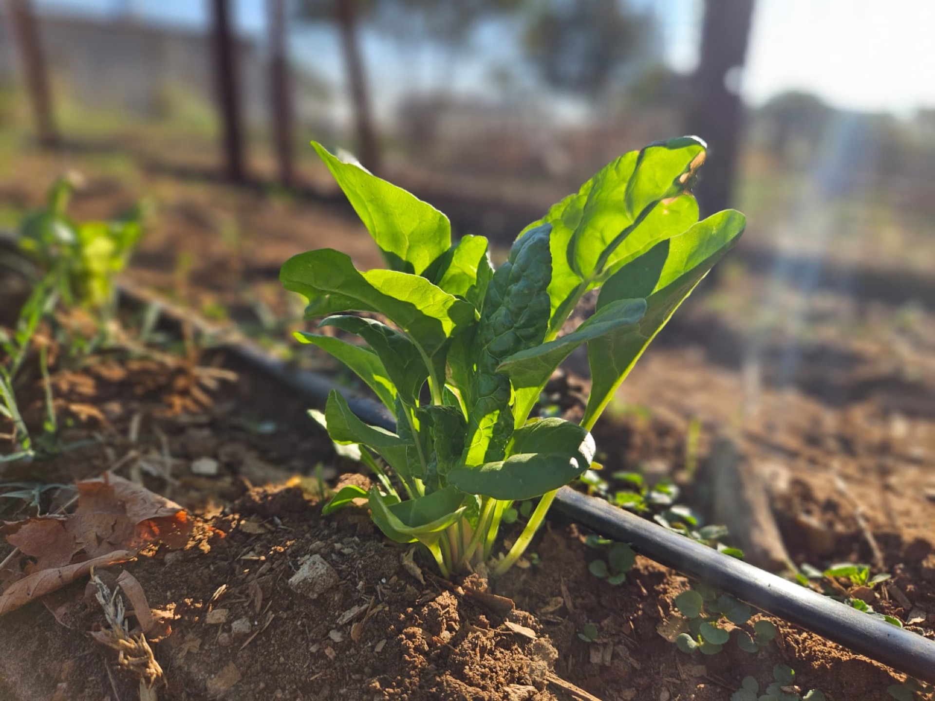 Faith-based community development in Africa