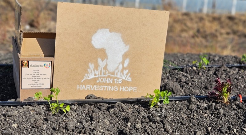 Harvesting Hope branded kit box next to seedlings in the field