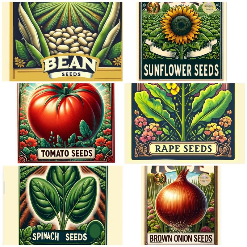 Harvesting Hope seed packet varieties — bean, sunflower, tomato, spinach, onion